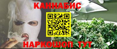 apvp Канаш