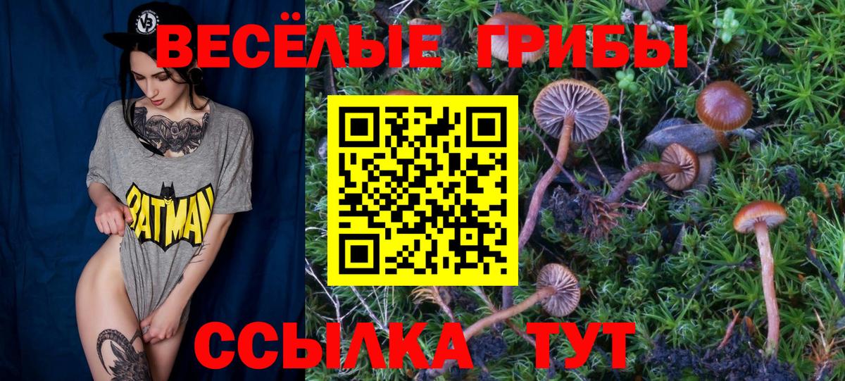 Галлюциногенные грибы Cubensis  Вход с VPN  Раменское 